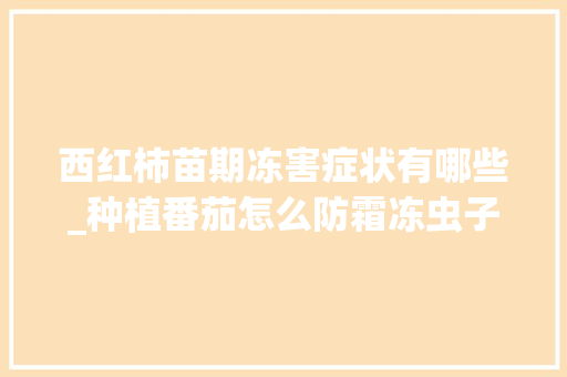 西红柿苗期冻害症状有哪些_种植番茄怎么防霜冻虫子呢