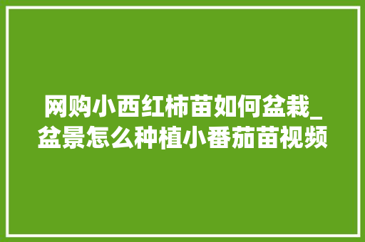 网购小西红柿苗如何盆栽_盆景怎么种植小番茄苗视频 网购小西红柿苗如何盆栽_盆景怎么种植小番茄苗视频 种植技巧