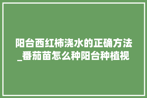阳台西红柿浇水的正确方法_番茄苗怎么种阳台种植视频 阳台西红柿浇水的正确方法_番茄苗怎么种阳台种植视频 土壤施肥