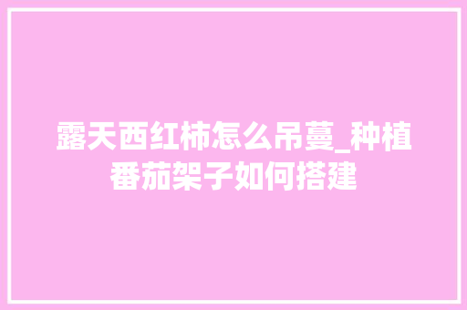 露天西红柿怎么吊蔓_种植番茄架子如何搭建 露天西红柿怎么吊蔓_种植番茄架子如何搭建 番茄种植技巧