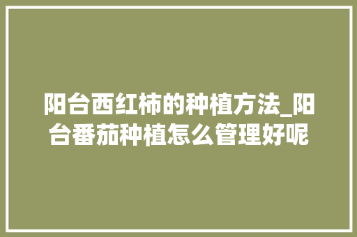 阳台西红柿的种植方法_阳台番茄种植怎么管理好呢 阳台西红柿的种植方法_阳台番茄种植怎么管理好呢 番茄种植技巧