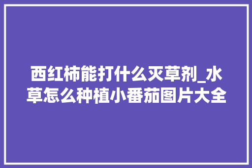 西红柿能打什么灭草剂_水草怎么种植小番茄图片大全