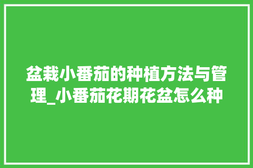 盆栽小番茄的种植方法与管理_小番茄花期花盆怎么种植视频 盆栽小番茄的种植方法与管理_小番茄花期花盆怎么种植视频 花朵知识