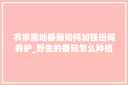 农家露地番茄如何加强田间养护_野生的番茄怎么种植的 农家露地番茄如何加强田间养护_野生的番茄怎么种植的 植物种类