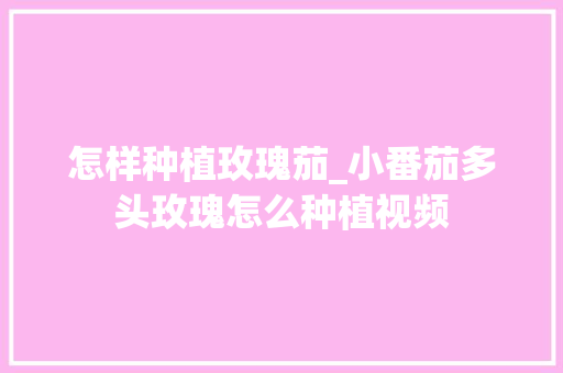 怎样种植玫瑰茄_小番茄多头玫瑰怎么种植视频 怎样种植玫瑰茄_小番茄多头玫瑰怎么种植视频 农业常识