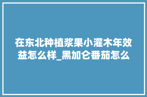 在东北种植浆果小灌木年效益怎么样_黑加仑番茄怎么种植视频