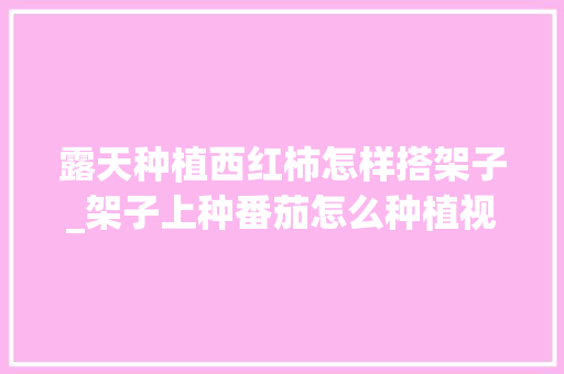 露天种植西红柿怎样搭架子_架子上种番茄怎么种植视频 露天种植西红柿怎样搭架子_架子上种番茄怎么种植视频 土壤施肥