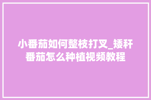 小番茄如何整枝打叉_矮秆番茄怎么种植视频教程 小番茄如何整枝打叉_矮秆番茄怎么种植视频教程 农业常识