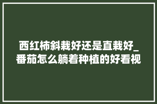 西红柿斜栽好还是直栽好_番茄怎么躺着种植的好看视频