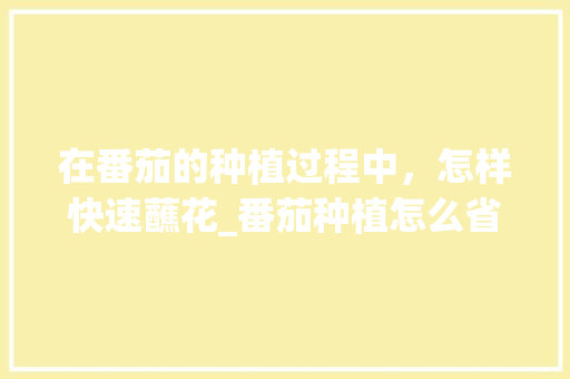 在番茄的种植过程中，怎样快速蘸花_番茄种植怎么省人工成本 在番茄的种植过程中，怎样快速蘸花_番茄种植怎么省人工成本 番茄种植技巧
