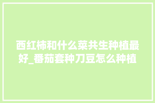 西红柿和什么菜共生种植最好_番茄套种刀豆怎么种植的视频