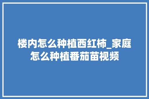 楼内怎么种植西红柿_家庭怎么种植番茄苗视频