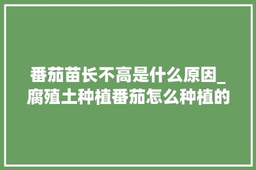 番茄苗长不高是什么原因_腐殖土种植番茄怎么种植的 种植技巧 番茄苗长不高是什么原因_腐殖土种植番茄怎么种植的 番茄苗长不高是什么原因_腐殖土种植番茄怎么种植的 种植技巧