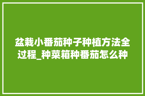 盆栽小番茄种子种植方法全过程_种菜箱种番茄怎么种植视频 盆栽小番茄种子种植方法全过程_种菜箱种番茄怎么种植视频 种植技巧