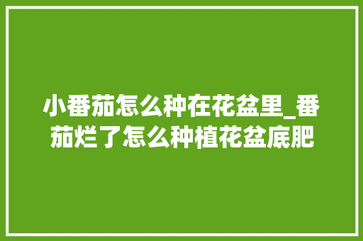 小番茄怎么种在花盆里_番茄烂了怎么种植花盆底肥 小番茄怎么种在花盆里_番茄烂了怎么种植花盆底肥 种植技巧