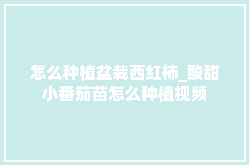 怎么种植盆栽西红柿_酸甜小番茄苗怎么种植视频 怎么种植盆栽西红柿_酸甜小番茄苗怎么种植视频 种植技巧