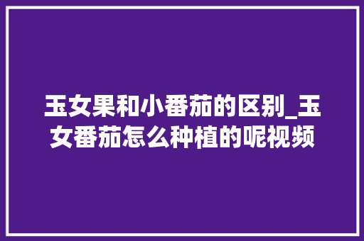 玉女果和小番茄的区别_玉女番茄怎么种植的呢视频