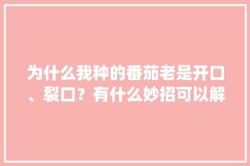 为什么我种的番茄老是开口、裂口？有什么妙招可以解决_种植番茄怎么总要开裂呢 为什么我种的番茄老是开口、裂口？有什么妙招可以解决_种植番茄怎么总要开裂呢 番茄种植技巧