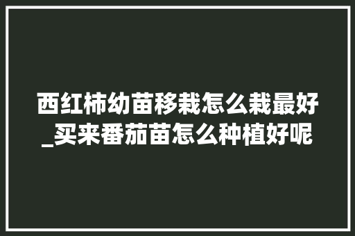 西红柿幼苗移栽怎么栽最好_买来番茄苗怎么种植好呢视频 西红柿幼苗移栽怎么栽最好_买来番茄苗怎么种植好呢视频 花朵知识