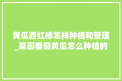 黄瓜西红柿怎样种植和管理_菜园番茄黄瓜怎么种植的视频 黄瓜西红柿怎样种植和管理_菜园番茄黄瓜怎么种植的视频 番茄种植技巧