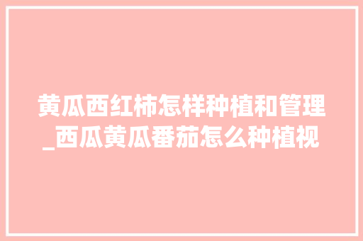 黄瓜西红柿怎样种植和管理_西瓜黄瓜番茄怎么种植视频 植物种类 黄瓜西红柿怎样种植和管理_西瓜黄瓜番茄怎么种植视频 黄瓜西红柿怎样种植和管理_西瓜黄瓜番茄怎么种植视频 植物种类
