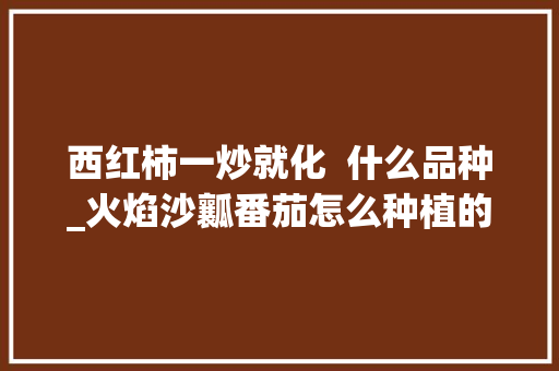 西红柿一炒就化  什么品种_火焰沙瓤番茄怎么种植的