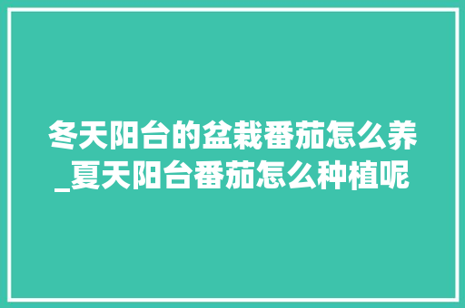 冬天阳台的盆栽番茄怎么养_夏天阳台番茄怎么种植呢视频 冬天阳台的盆栽番茄怎么养_夏天阳台番茄怎么种植呢视频 植物种类