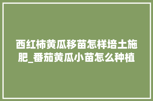 西红柿黄瓜移苗怎样培土施肥_番茄黄瓜小苗怎么种植视频 西红柿黄瓜移苗怎样培土施肥_番茄黄瓜小苗怎么种植视频 番茄种植技巧