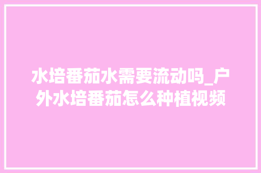 水培番茄水需要流动吗_户外水培番茄怎么种植视频 水培番茄水需要流动吗_户外水培番茄怎么种植视频 番茄病虫害防治