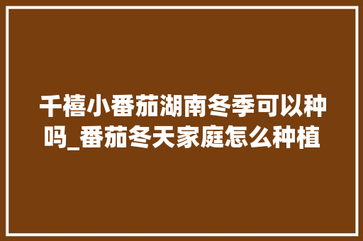 千禧小番茄湖南冬季可以种吗_番茄冬天家庭怎么种植视频 千禧小番茄湖南冬季可以种吗_番茄冬天家庭怎么种植视频 番茄病虫害防治