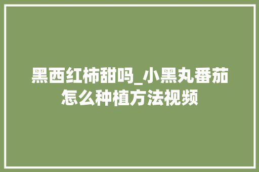 黑西红柿甜吗_小黑丸番茄怎么种植方法视频