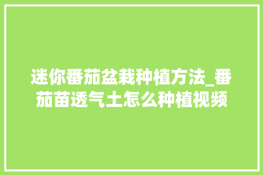 迷你番茄盆栽种植方法_番茄苗透气土怎么种植视频 迷你番茄盆栽种植方法_番茄苗透气土怎么种植视频 植物种类