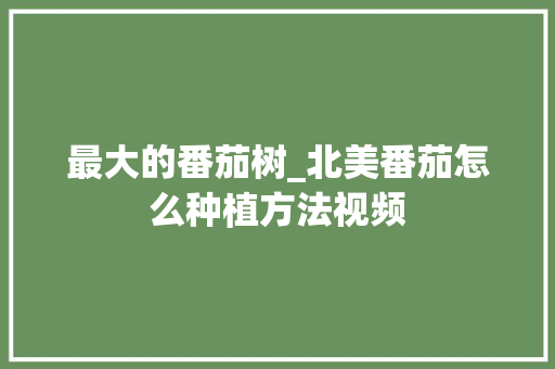 最大的番茄树_北美番茄怎么种植方法视频 最大的番茄树_北美番茄怎么种植方法视频 番茄病虫害防治