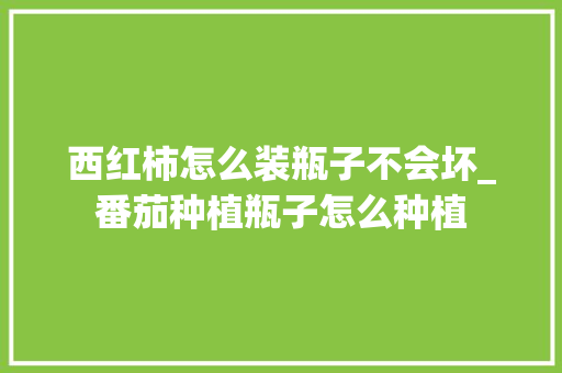 西红柿怎么装瓶子不会坏_番茄种植瓶子怎么种植