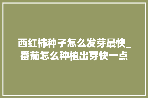 西红柿种子怎么发芽最快_番茄怎么种植出芽快一点