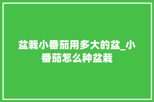 盆栽小番茄用多大的盆_小番茄怎么种盆栽 花朵知识 盆栽小番茄用多大的盆_小番茄怎么种盆栽 盆栽小番茄用多大的盆_小番茄怎么种盆栽 花朵知识