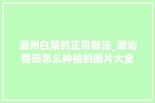 潮州白菜的正宗做法_潮汕番茄怎么种植的图片大全