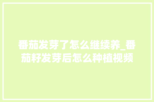 番茄发芽了怎么继续养_番茄籽发芽后怎么种植视频