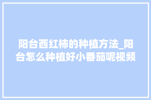 阳台西红柿的种植方法_阳台怎么种植好小番茄呢视频
