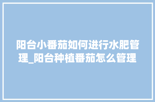 阳台小番茄如何进行水肥管理_阳台种植番茄怎么管理好