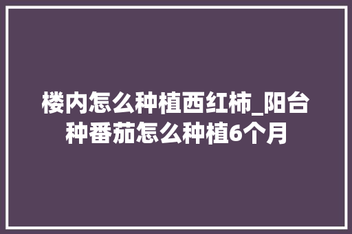 楼内怎么种植西红柿_阳台种番茄怎么种植6个月 楼内怎么种植西红柿_阳台种番茄怎么种植6个月 花朵知识
