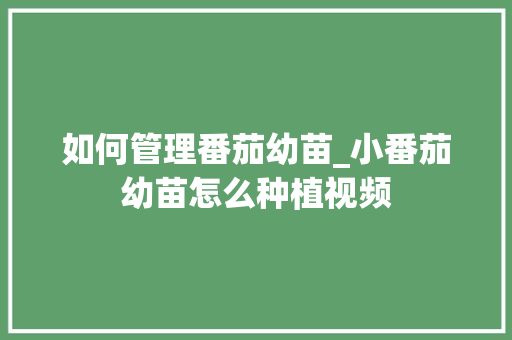 如何管理番茄幼苗_小番茄幼苗怎么种植视频 如何管理番茄幼苗_小番茄幼苗怎么种植视频 种植技巧