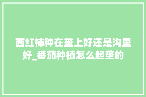 西红柿种在垄上好还是沟里好_番茄种植怎么起垄的 西红柿种在垄上好还是沟里好_番茄种植怎么起垄的 种植技巧