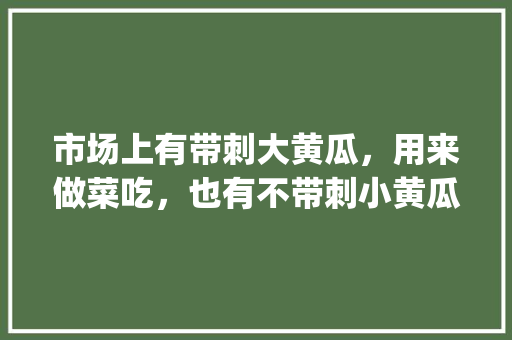 市场上有带刺大黄瓜，用来做菜吃，也有不带刺小黄瓜，用来当水果吃，你喜欢哪一种_翡翠小番茄种子怎么种植的 市场上有带刺大黄瓜，用来做菜吃，也有不带刺小黄瓜，用来当水果吃，你喜欢哪一种_翡翠小番茄种子怎么种植的 种植技巧