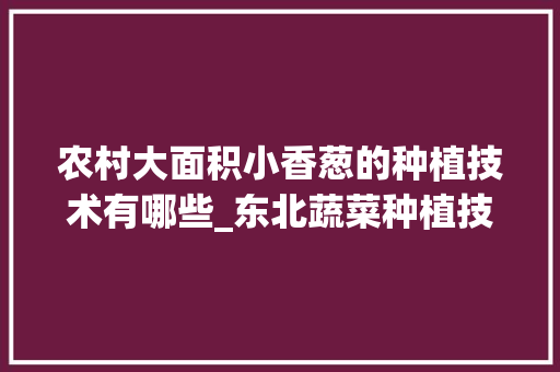 农村大面积小香葱的种植技术有哪些_东北蔬菜种植技巧视频教程 农村大面积小香葱的种植技术有哪些_东北蔬菜种植技巧视频教程 种植技巧