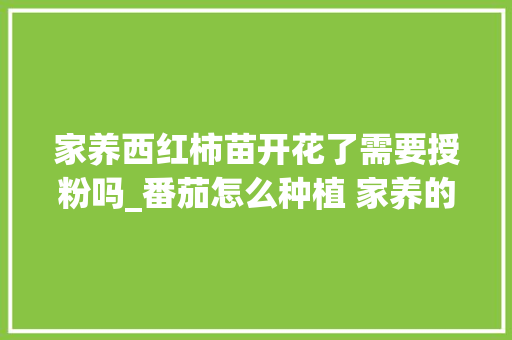 家养西红柿苗开花了需要授粉吗_番茄怎么种植 家养的 家养西红柿苗开花了需要授粉吗_番茄怎么种植 家养的 花朵知识