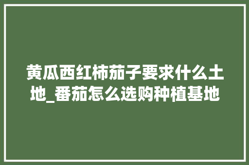 黄瓜西红柿茄子要求什么土地_番茄怎么选购种植基地呢 黄瓜西红柿茄子要求什么土地_番茄怎么选购种植基地呢 番茄种植技巧