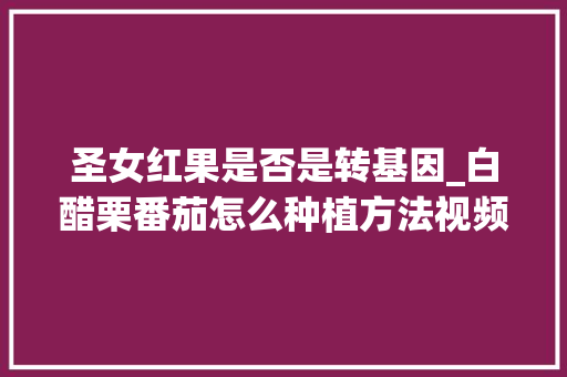 圣女红果是否是转基因_白醋栗番茄怎么种植方法视频 圣女红果是否是转基因_白醋栗番茄怎么种植方法视频 农业常识