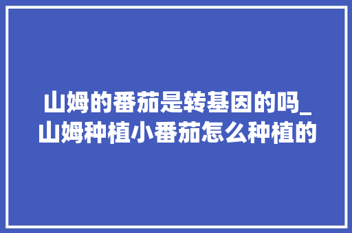 山姆的番茄是转基因的吗_山姆种植小番茄怎么种植的 山姆的番茄是转基因的吗_山姆种植小番茄怎么种植的 植物种类