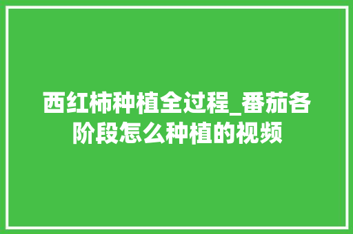 西红柿种植全过程_番茄各阶段怎么种植的视频 西红柿种植全过程_番茄各阶段怎么种植的视频 花朵知识